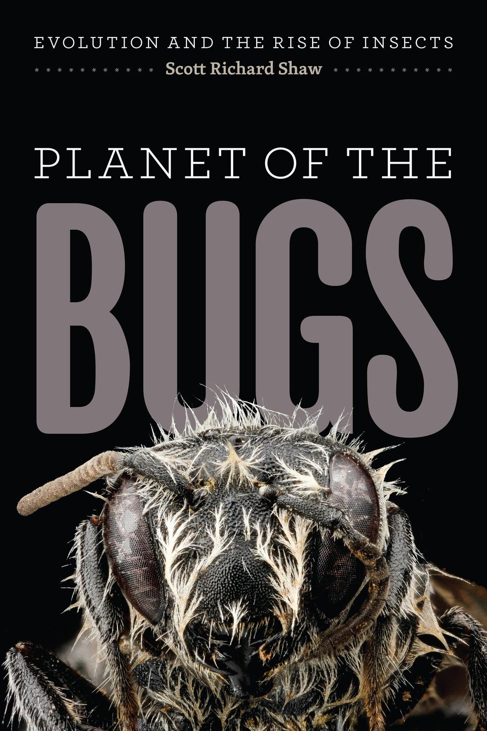 Book Planet of the Bugs: Evolution and the Rise of Insects free