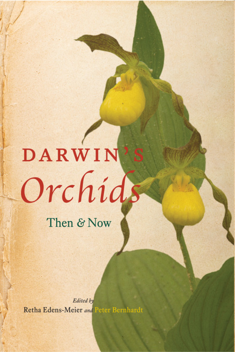 Book Darwin's Orchids: Then and Now free