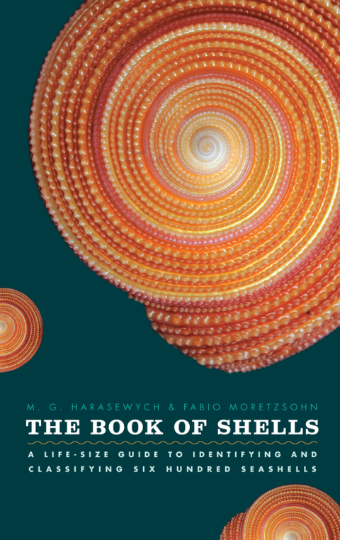 Book The Book of Shells: A Life-Size Guide to Identifying and Classifying Six Hundred Seashells free