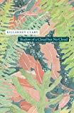 Book Shadow of a Cloud but No Cloud (Phoenix Poets) free