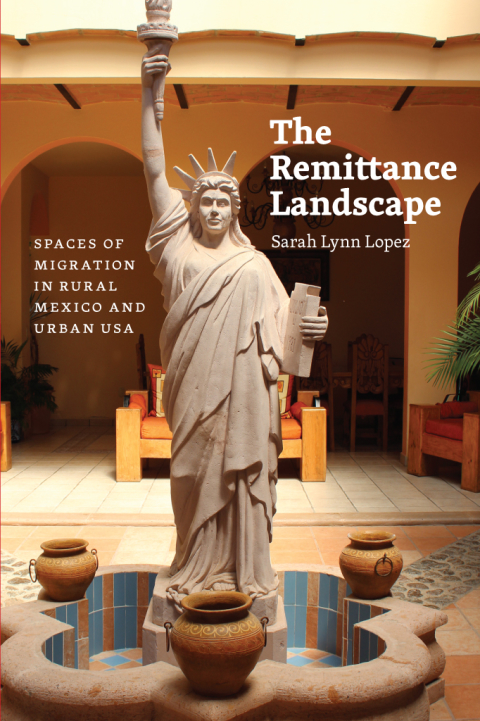Book The Remittance Landscape free