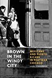 Book Brown in the Windy City: Mexicans and Puerto Ricans in Postwar Chicago (Historical Studies of Urban America) free
