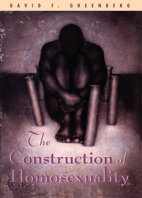 Book The Construction of Homosexuality free