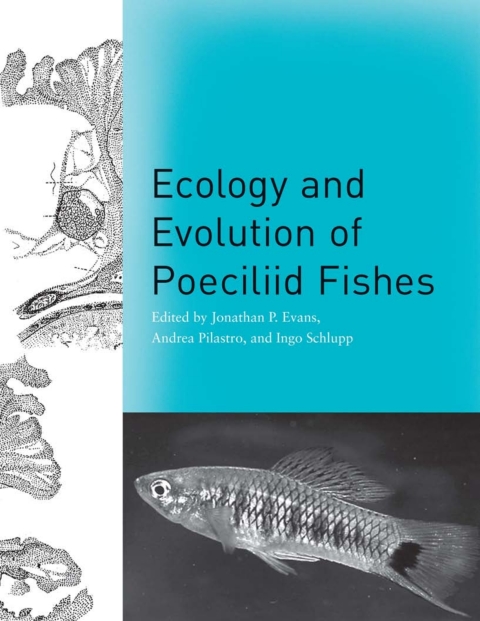 Book Ecology and Evolution of Poeciliid Fishes free