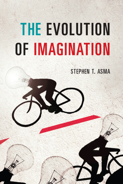Book The Evolution of Imagination free