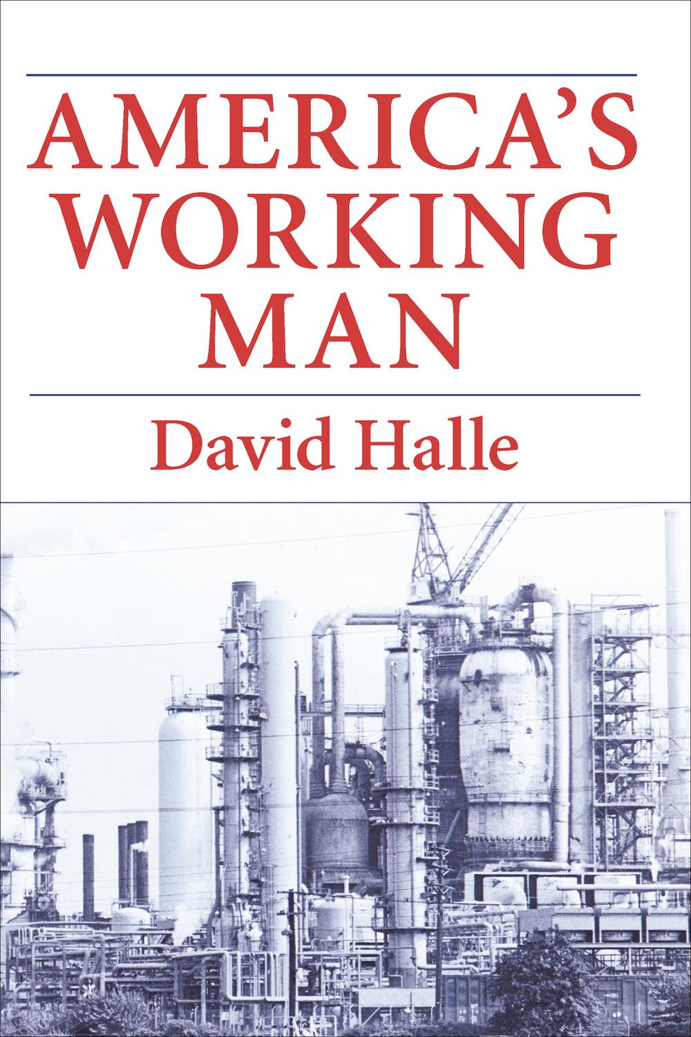 Book America's Working Man: Work, Home, and Politics Among Blue Collar Property Owners free