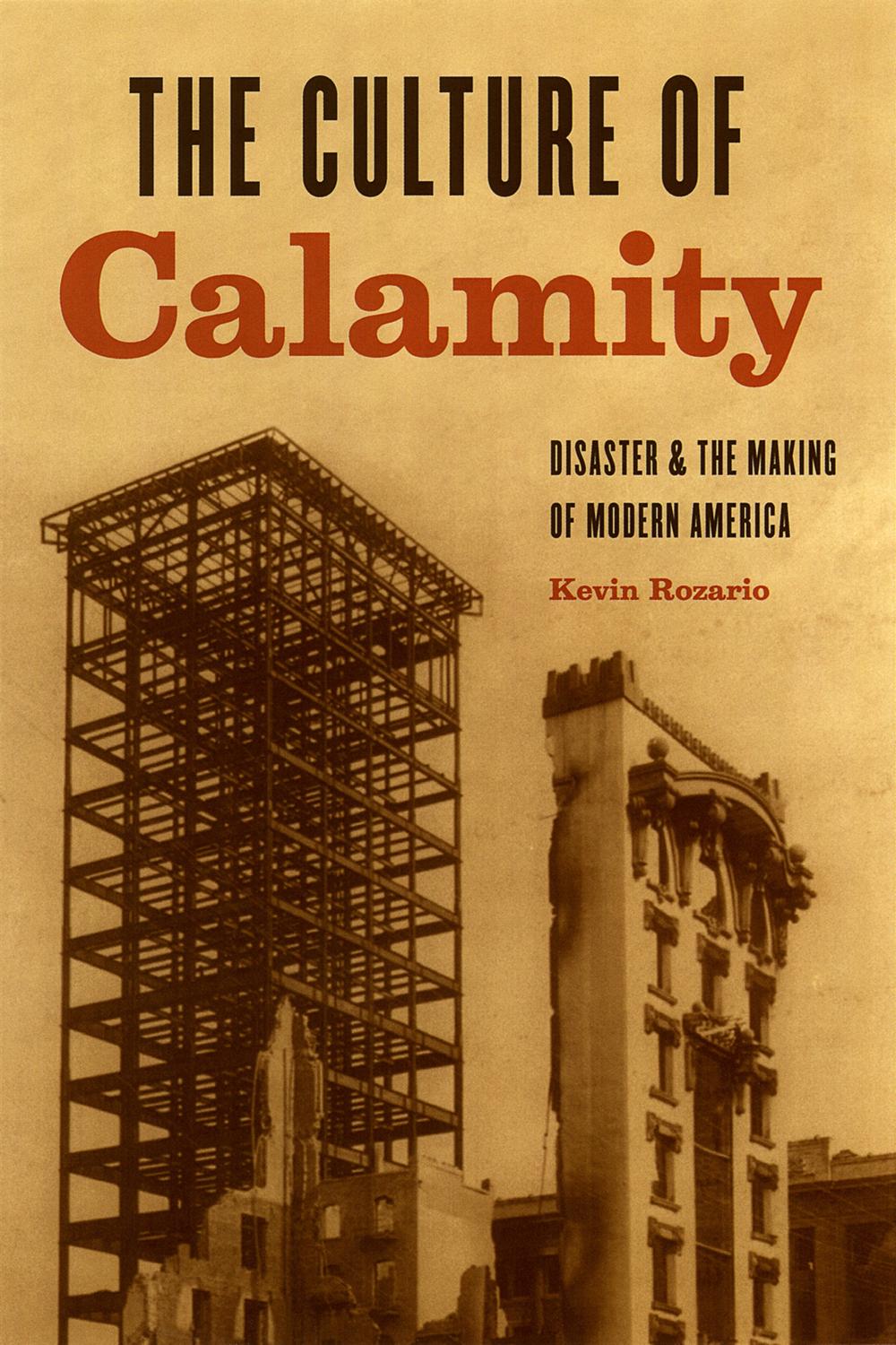 Book The Culture of Calamity free