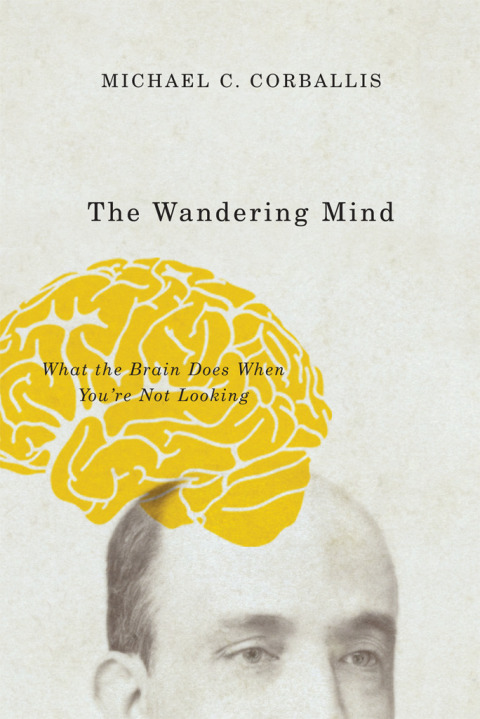 Book The Wandering Mind: What the Brain Does When You're Not Looking free
