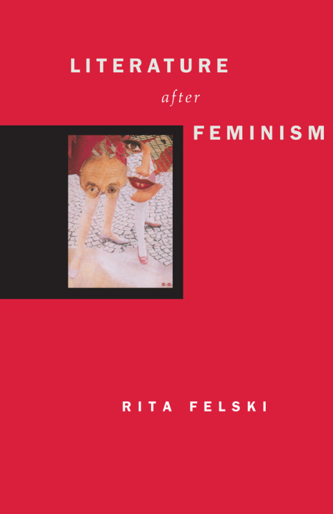 Book Literature after Feminism free