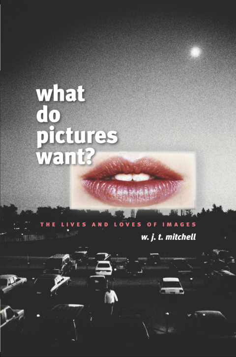 Book What Do Pictures Want?: The Lives and Loves of Images free