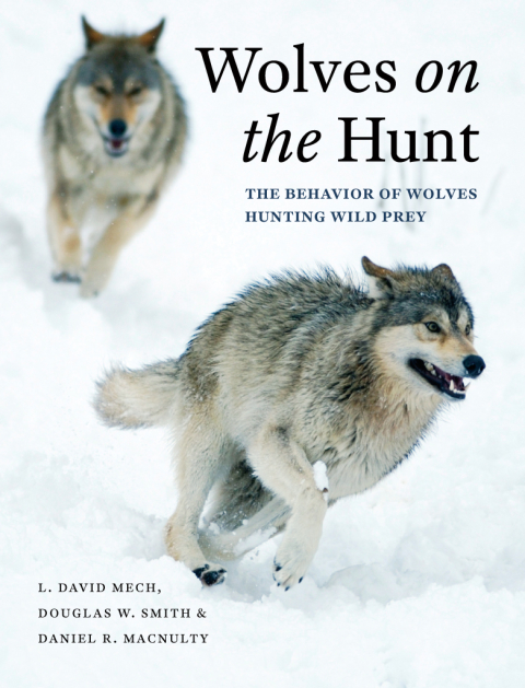 Book Wolves on the Hunt: The Behavior of Wolves Hunting Wild Prey free