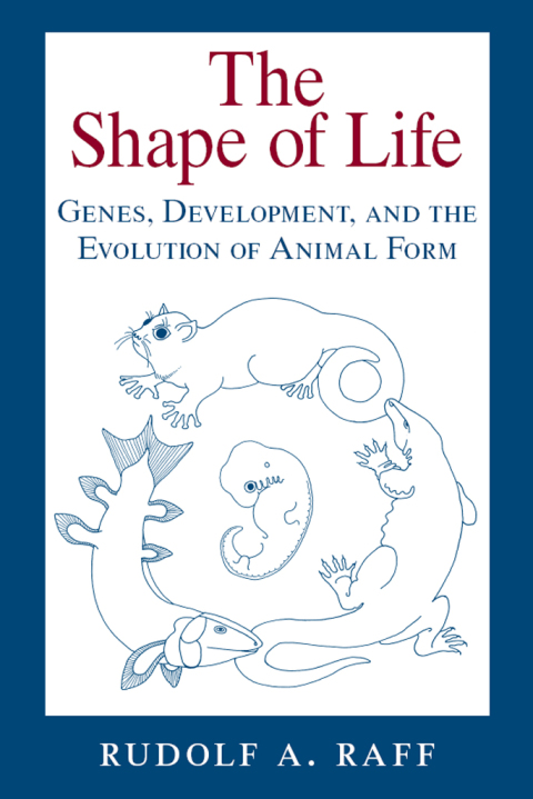 Book The Shape of Life: Genes, Development, and the Evolution of Animal Form free