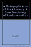 Book A Photographic Atlas Of Shark Anatomy: The Gross Morphology Of Squalus Acanthias free