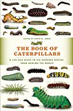 Book The Book of Caterpillars: A Life-Size Guide to Six Hundred Species from around the World free