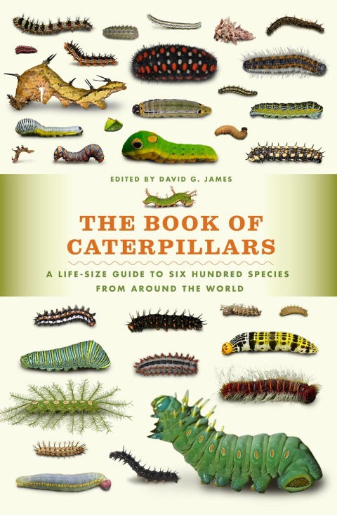 Book The Book of Caterpillars free