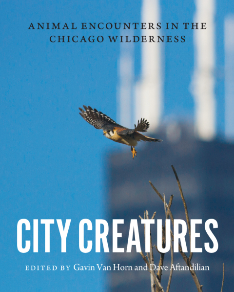 Book City Creatures: Animal Encounters in the Chicago Wilderness free