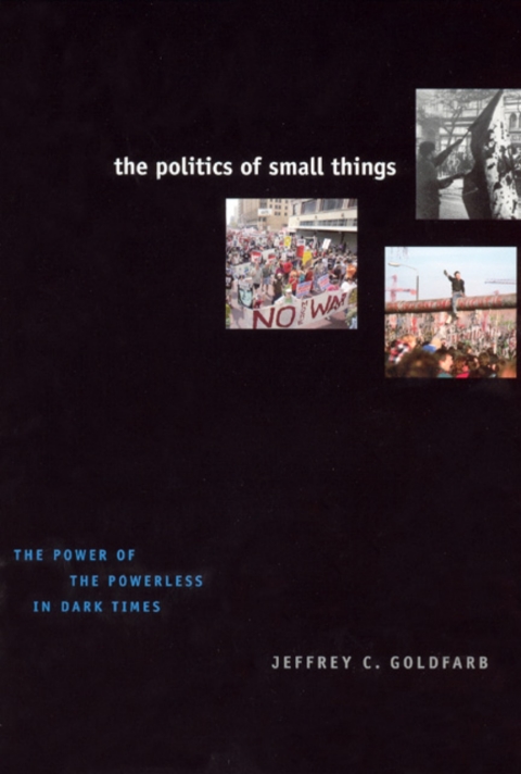 Book The Politics of Small Things: The Power of the Powerless in Dark Times free