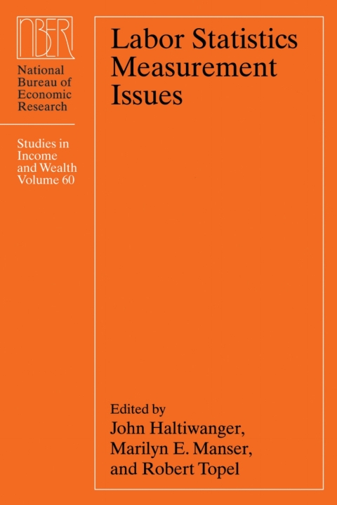 Book Labor Statistics Measurement Issues free