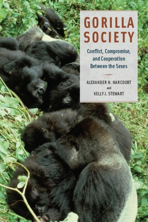 Book Gorilla Society: Conflict, Compromise, and Cooperation Between the Sexes free