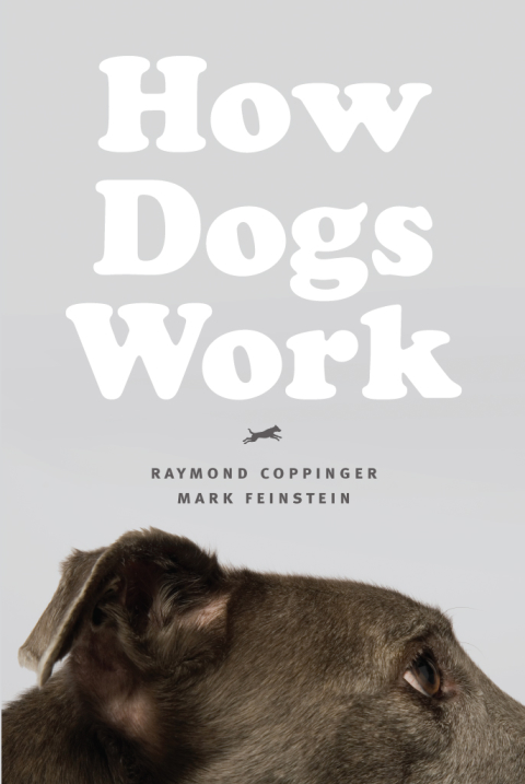 Book How Dogs Work free