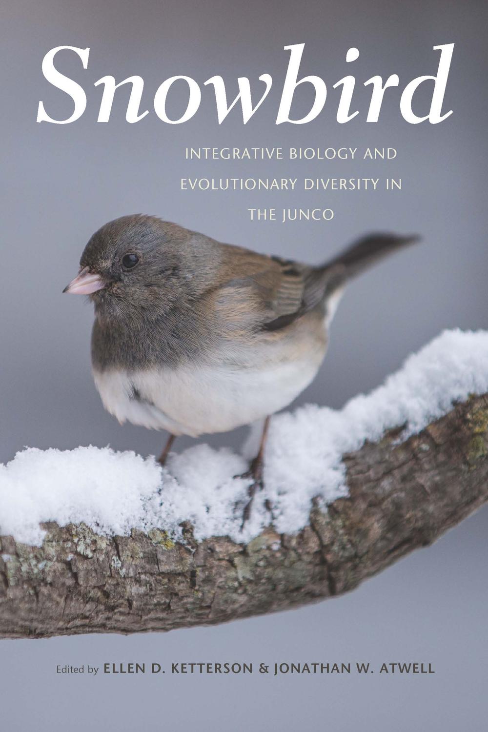 Book Snowbird: Integrative Biology and Evolutionary Diversity in the Junco free