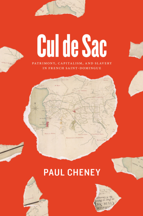 Book Cul de Sac: Patrimony, Capitalism, and Slavery in French Saint-Domingue free