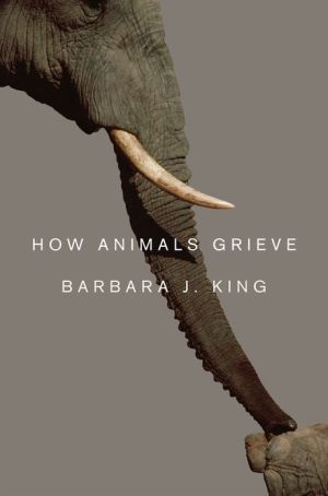 Book How Animals Grieve free
