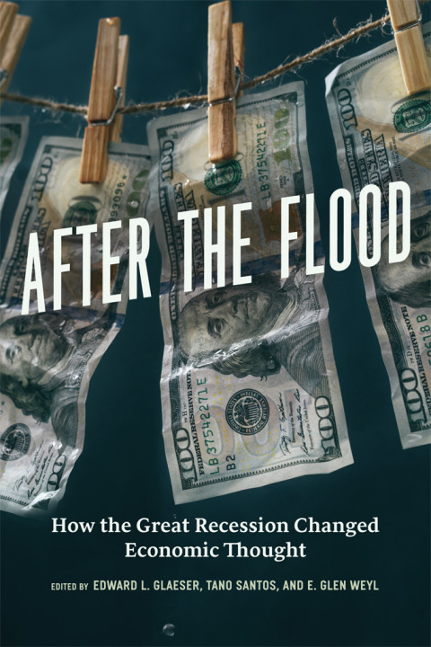 Book After the Flood: How the Great Recession Changed Economic Thought free