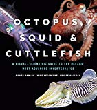 Book Octopus, Squid, and Cuttlefish: A Visual, Scientific Guide to the Oceans’ Most Advanced Invertebrates free