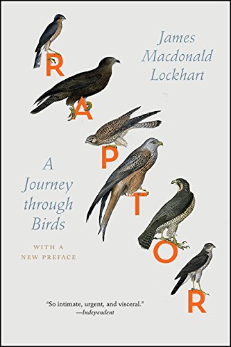 Book Raptor: A Journey through Birds free Book Raptor: A Journey through Birds free