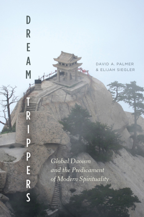 Book Dream Trippers: Global Daoism and the Predicament of Modern Spirituality free