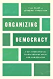 Book Organizing Democracy: How International Organizations Assist New Democracies (Chicago Series on International and Domestic Institutions) free