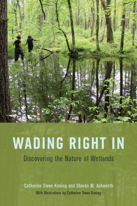 Book Wading Right In: Discovering the Nature of Wetlands free