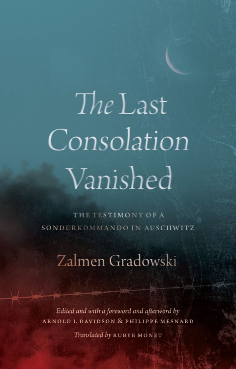 Book The Last Consolation Vanished free