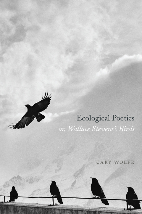 Book Ecological Poetics; or, Wallace Stevens’s Birds free