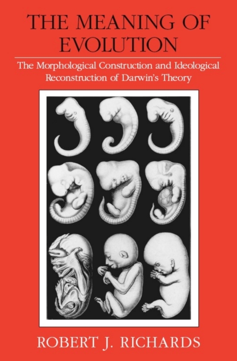 Book The Meaning of Evolution free