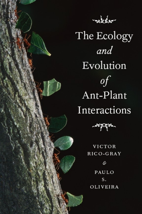 Book The Ecology and Evolution of Ant-Plant Interactions (Interspecific Interactions) free