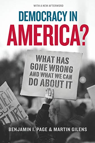 Book Democracy in America?: What Has Gone Wrong and What We Can Do About It free