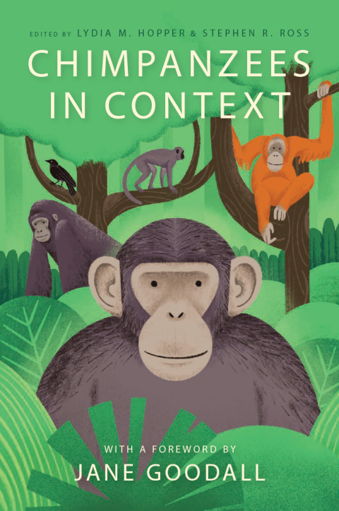 Book Chimpanzees in Context: A Comparative Perspective on Chimpanzee Behavior, Cognition, Conservation, and Welfare free