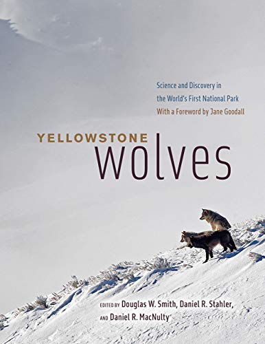 Book Yellowstone Wolves: Science and Discovery in the World's First National Park free