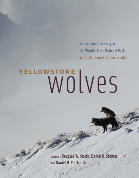 Book Yellowstone Wolves free