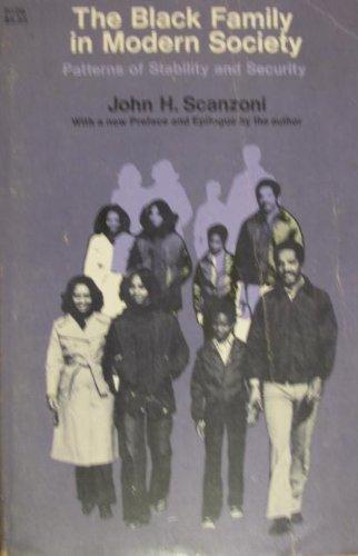 Book Black Family in Modern Society: Patterns of Stability and Security (A Phoenix Book ; P726) free