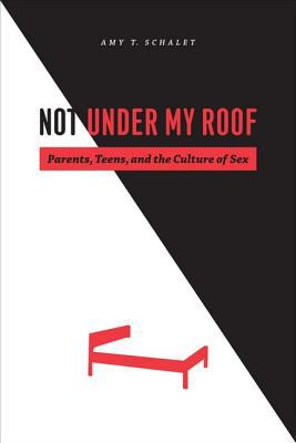 Book Not Under My Roof: Parents, Teens, and the Culture of Sex free