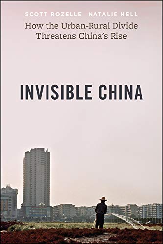 Book Invisible China: How the Urban-Rural Divide Threatens China’s Rise free