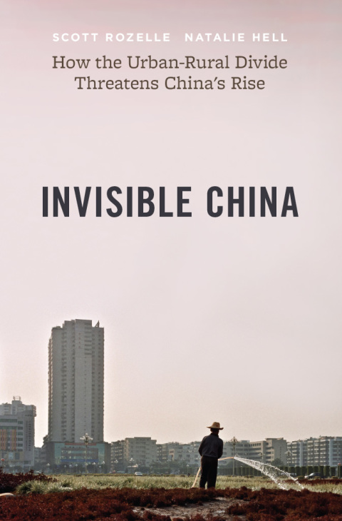 Book Invisible China: How the Urban-Rural Divide Threatens China’s Rise free