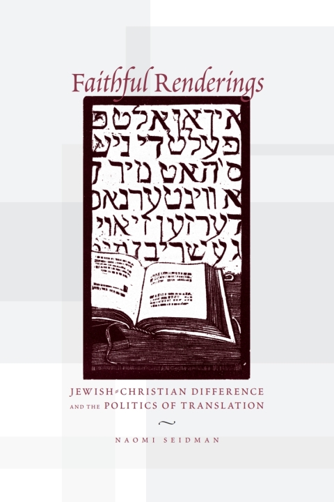 Book Faithful Renderings: Jewish-Christian Difference and the Politics of Translation (Afterlives of the Bible) free