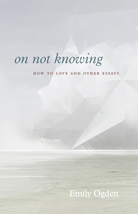 Book On Not Knowing free