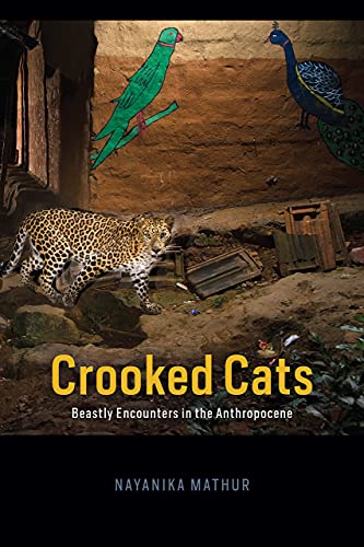 Book Crooked Cats: Beastly Encounters in the Anthropocene (Animal Lives) free