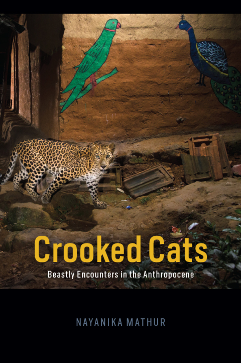 Book Crooked Cats: Beastly Encounters in the Anthropocene (Animal Lives) free
