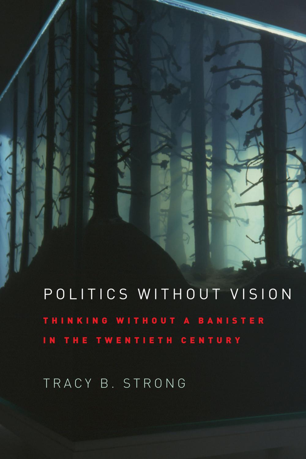 Book Politics without Vision free